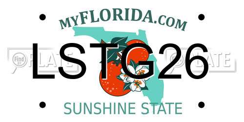 LSTG26 Florida License Plate