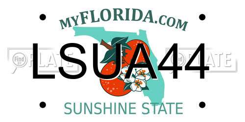 LSUA44 Florida License Plate