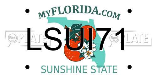 LSUI71 Florida License Plate