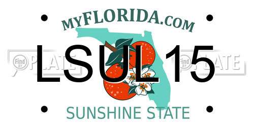 LSUL15 Florida License Plate