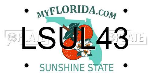 LSUL43 Florida License Plate