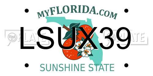 LSUX39 Florida License Plate