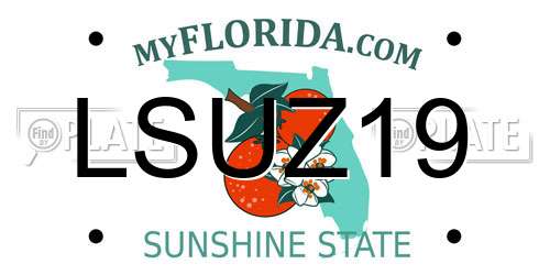 LSUZ19 Florida License Plate