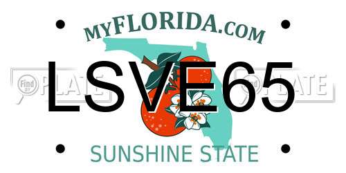 LSVE65 Florida License Plate
