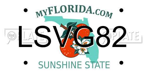 LSVG82 Florida License Plate