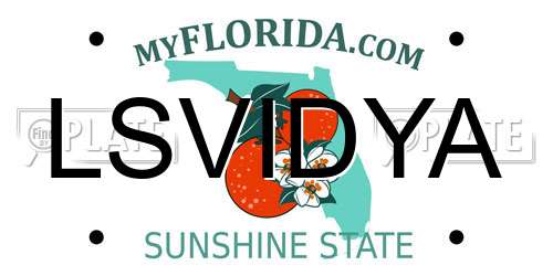 LSVIDYA Florida License Plate