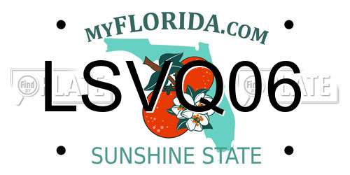 LSVQ06 Florida License Plate