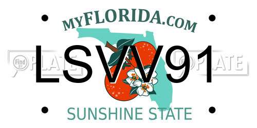 LSVV91 Florida License Plate