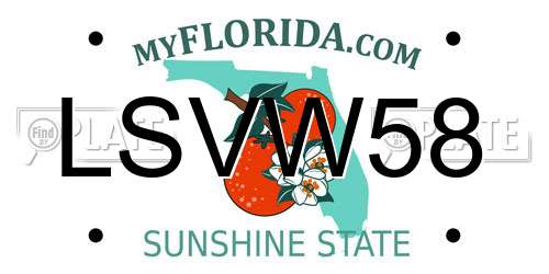 LSVW58 Florida License Plate