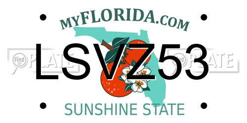 LSVZ53 Florida License Plate