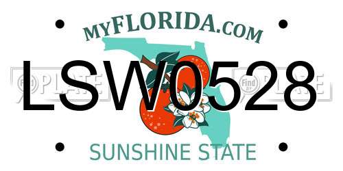 LSW0528 Florida License Plate