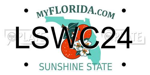 LSWC24 Florida License Plate