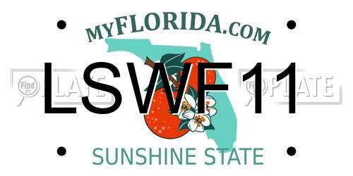 LSWF11 Florida License Plate