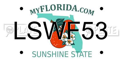 LSWF53 Florida License Plate