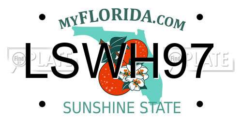 LSWH97 Florida License Plate