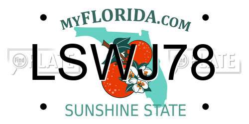 LSWJ78 Florida License Plate