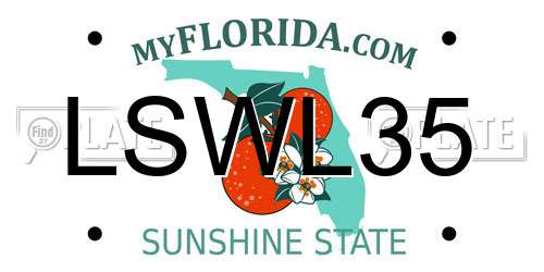 LSWL35 Florida License Plate