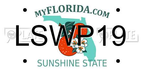 LSWP19 Florida License Plate