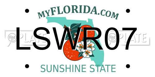 LSWR07 Florida License Plate