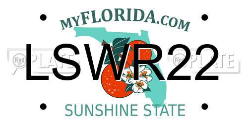 LSWR22 Florida License Plate