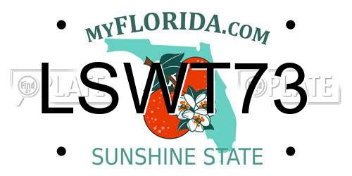 LSWT73 Florida License Plate