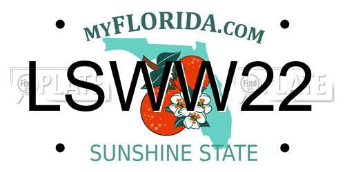 LSWW22 Florida License Plate