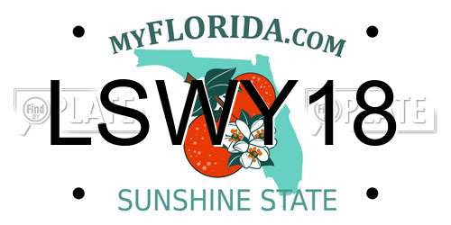 LSWY18 Florida License Plate