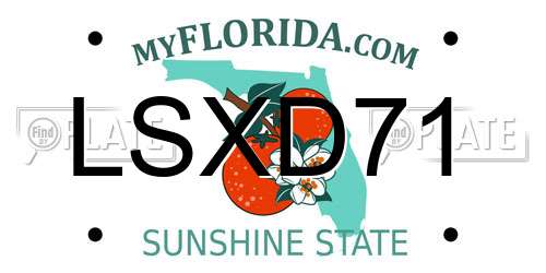 LSXD71 Florida License Plate