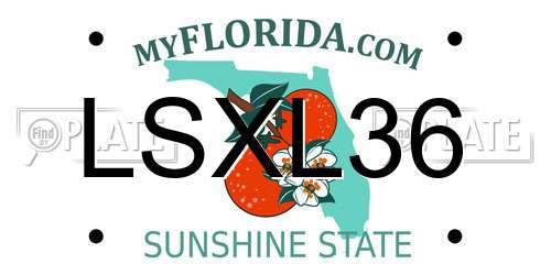 LSXL36 Florida License Plate