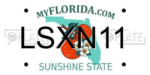 LSXN11 Florida License Plate