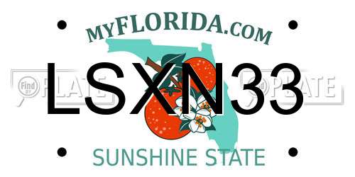 LSXN33 Florida License Plate