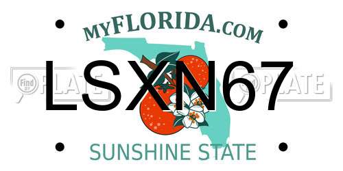 LSXN67 Florida License Plate