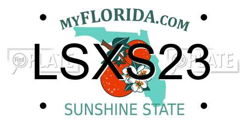 LSXS23 Florida License Plate