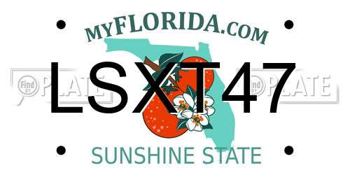 LSXT47 Florida License Plate