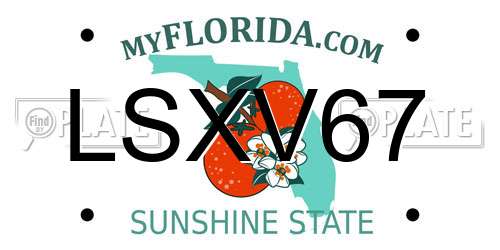 LSXV67 Florida License Plate
