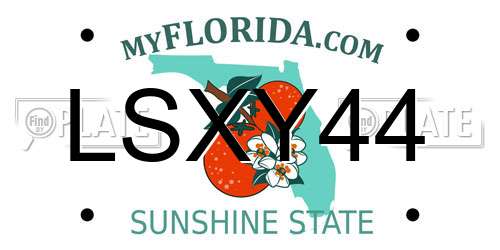 LSXY44 Florida License Plate