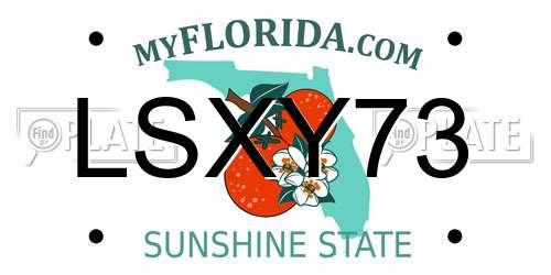 LSXY73 Florida License Plate
