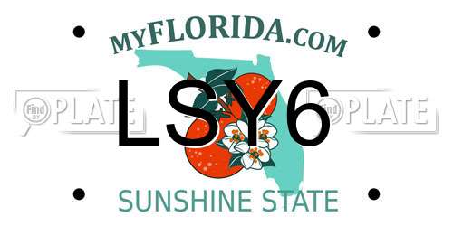 LSY6 Florida License Plate