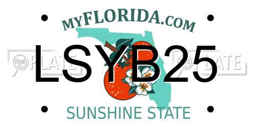 LSYB25 Florida License Plate