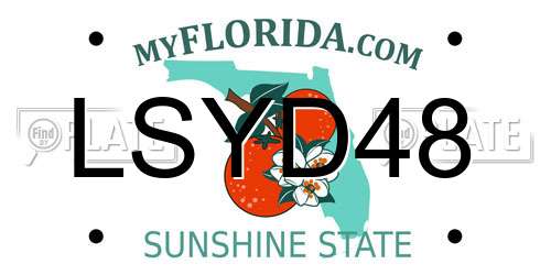 LSYD48 Florida License Plate
