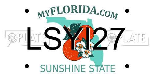 LSYI27 Florida License Plate