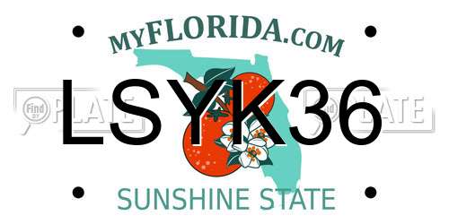 LSYK36 Florida License Plate