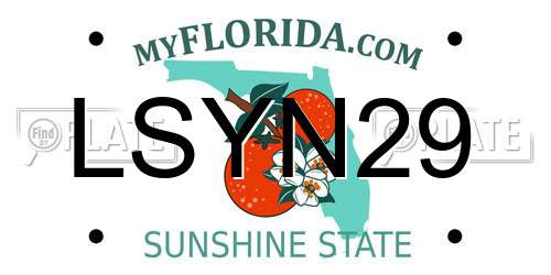 LSYN29 Florida License Plate