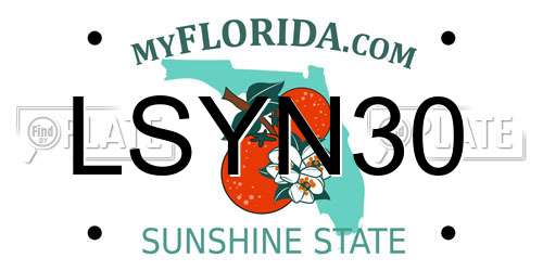 LSYN30 Florida License Plate