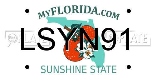LSYN91 Florida License Plate