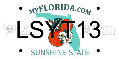 LSYT13 Florida License Plate