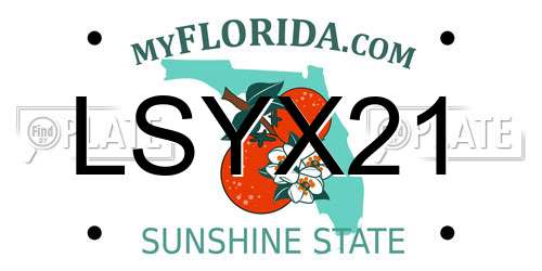 LSYX21 Florida License Plate