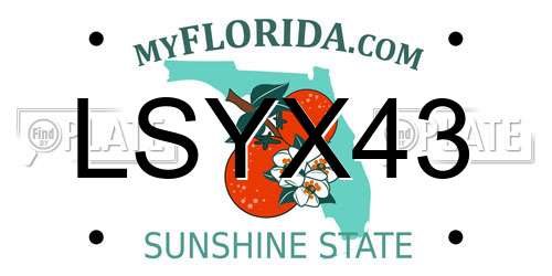 LSYX43 Florida License Plate