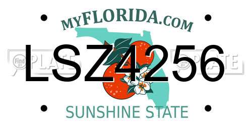 LSZ4256 Florida License Plate