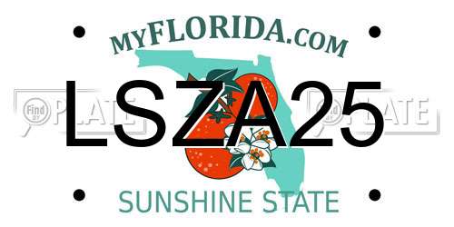 LSZA25 Florida License Plate